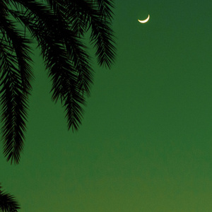 啊┅┅快┅┅用力啊老师赵欢欢
