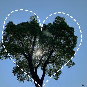 啊┅┅快┅┅用力啊老师赵欢欢
